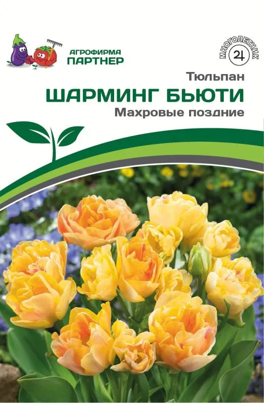 Тюльпан простой ранний Apricot Beauty ...