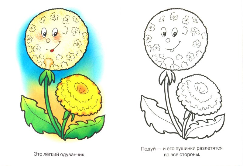 Головной убор Цветок василек (15714) универсальный купить c ...