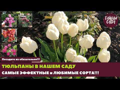 Дневной крем для лица Ecolatier Organic Wild Rose Молодость и ...