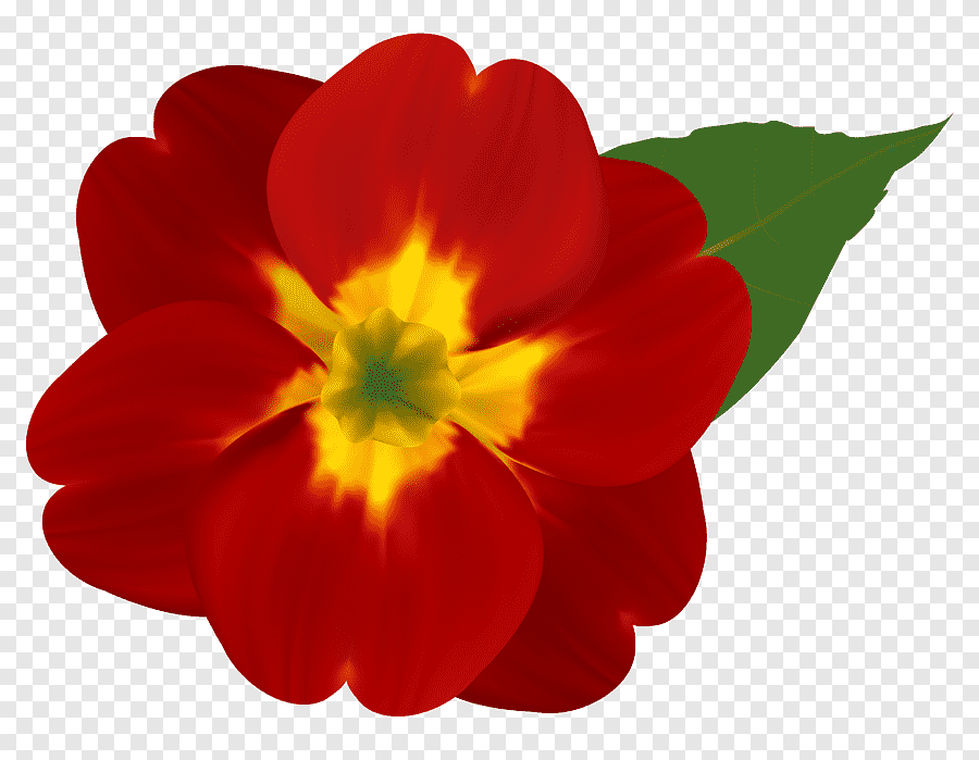 Flower power s, искусственный красный цветок декор, png | PNGEgg