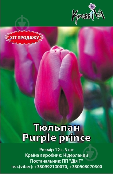 Тюльпаны Purple Prince (R. De Ree ...