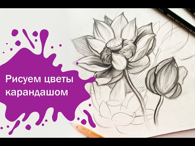 Как нарисовать букет цветов карандашом ...