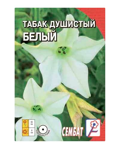 Душистый табак F1 Дольче Вита, смесь, 100 шт • Seed Shop