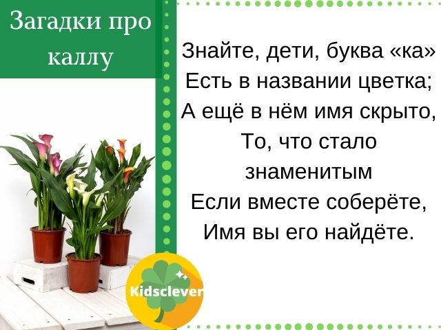 Загадки про лето - Детский Портал Знаний