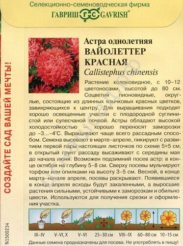 Астра: описание, разновидности и сорта цветка - AgroFlora.ru