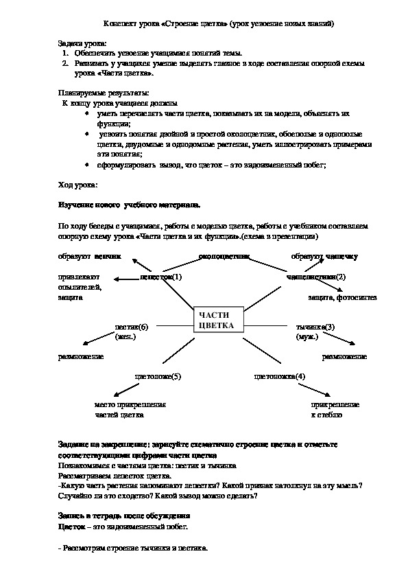 Цветок, его значение и строение. Околоцветник. Чашечка ...