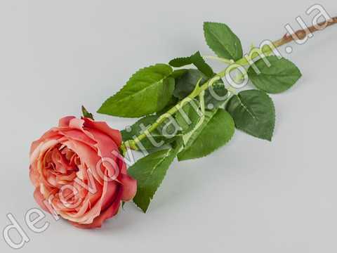 Алнвик роуз (The Alnwick Rose) купить саженцы роз в москве ...