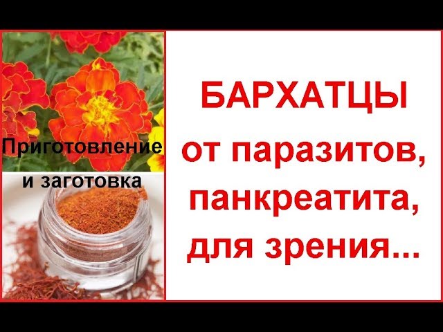 Просто залейте бархатцы маслом.1 ч. л. в день - Суточная ...