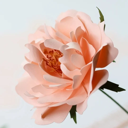 3D Rose Live Wallpaper HD для Android — Скачать