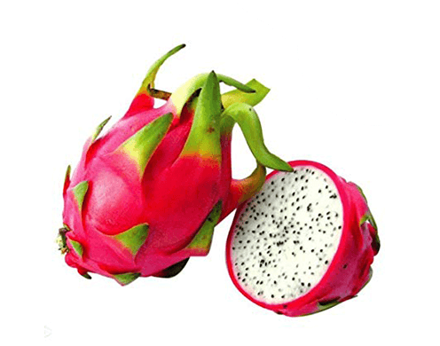 Pitahaya (Питахайя) — Южный сад