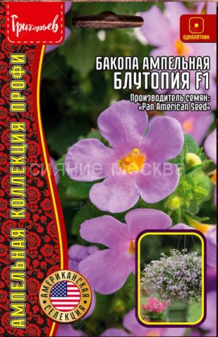 Бакопа ампельная (сутера) Bacopa speciosa 'Snowflake ...