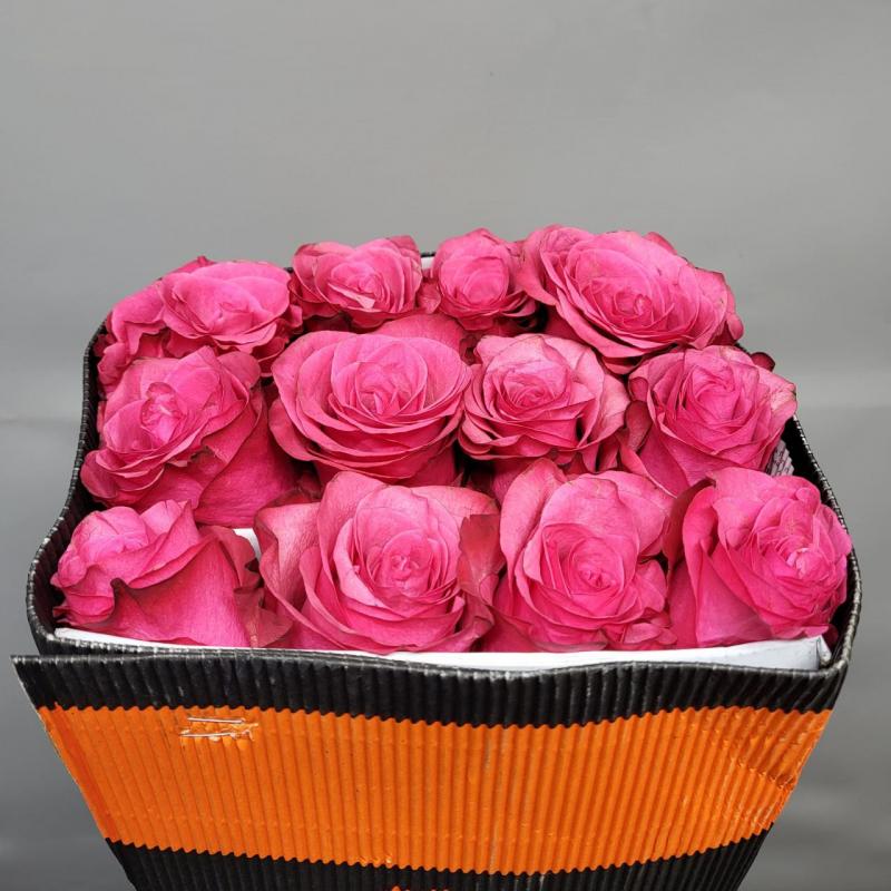 Lola Roses | Wholesale Ecuadorian Roses ...