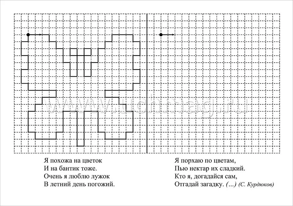 Заяц | Графический диктант по клеточкам онлайн и устно