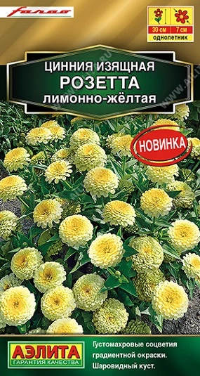 Уход за циниями - всё что нужно знать | Огородные байки | Дзен