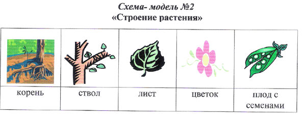 Звуковой анализ слов 