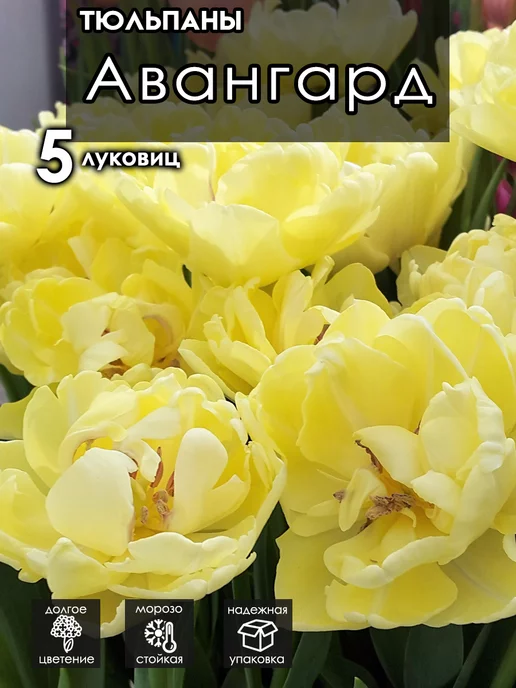 Авангард ЗК 25 (П2) Ураган в сетке ...