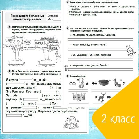 Словарные слова-Тренажер по русскому языку 2 класс купить на ...