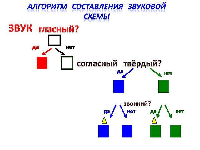 Фонетический разбор слова ЦВЕТЫ — звуко буквенный анализ