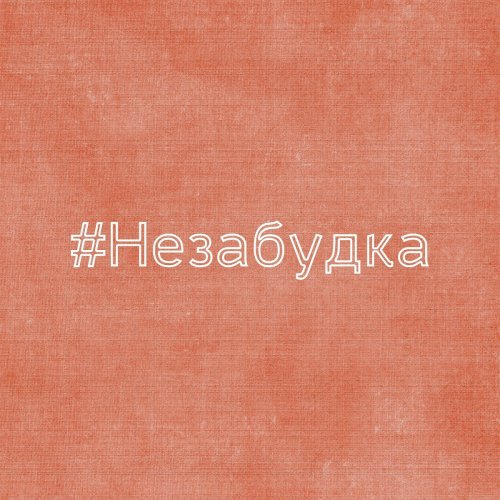 Незабудка. Этой песни уже 5 лет #тимабелорусских #незабудка ...