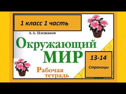 Картинки цветы на клумбе для детей с названиями (65 фото)