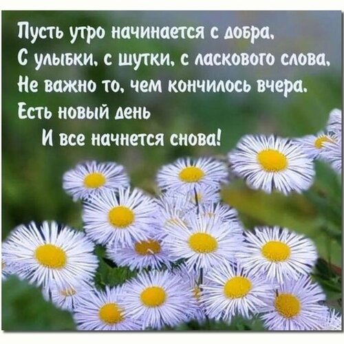 Доброе Утро Карта С Красочные Цветы Букет Aster — стоковые ...