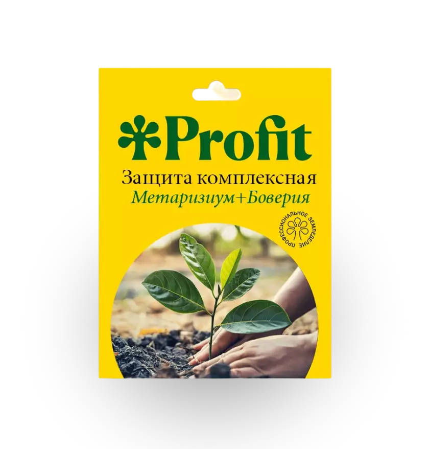 🌱 Роза Чайно-гибридная Аленушка по цене ...