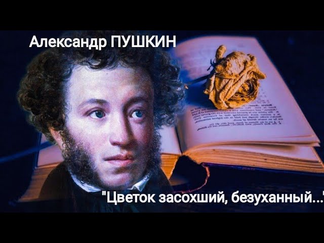 А.С. Пушкин - Цветок | Стихи слушать | Стихи и песни | Михаил ...