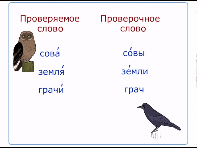 Секрет тотальной безграмотности на ...