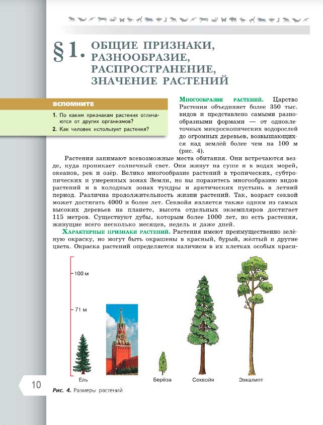 Презентация по биологии на тему 