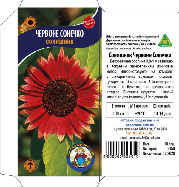 Желтый Подсолнечник Саду Подсолнухи Helianthus Annuus ...