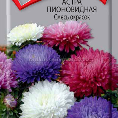 Цветы Астра Школьный букет смесь/Сем Алт/цп 0,3 гр. Семена Алтая