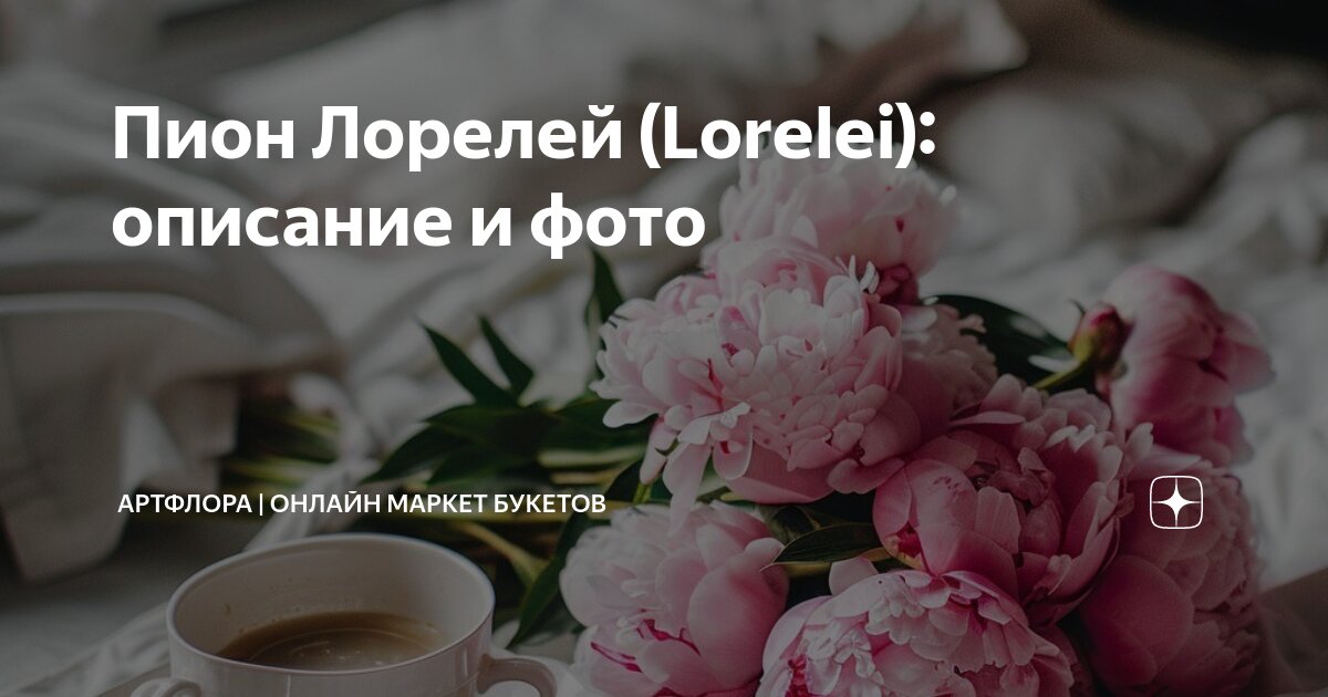 Пион Lorelei купить недорого в Украине ...