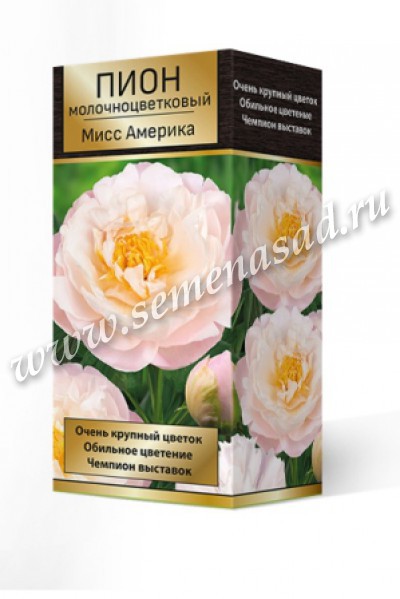 Пион Гуан Кун Фанг / Ароматный чемпион (Paeonia Fragrant ...