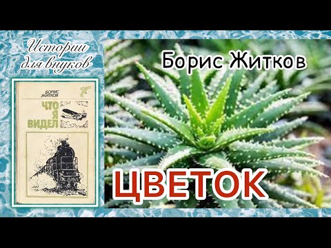 Кружечка под ёлочкой – Борис Житков ...