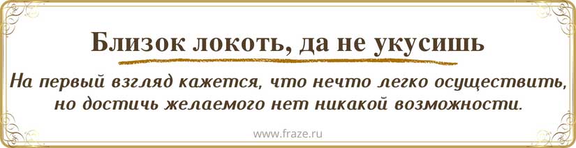 Портреты и фотографии семьи А.С. Пушкина [1984 Февчук Л.П ...