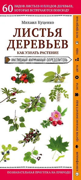 Алфея Плакат Цветы - Акушерство.Ru