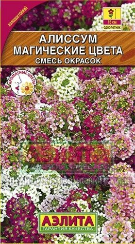 Алиссум: описание, сорта, посадка и уход. Как вырастить ...