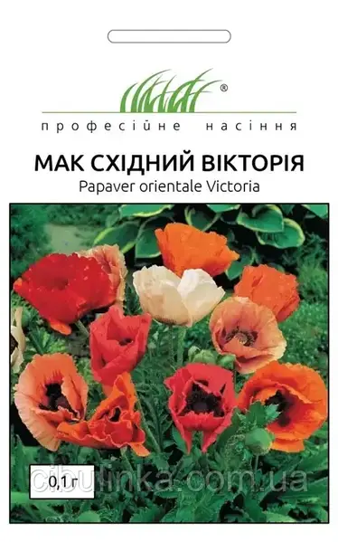 Мак многолетний Брызги шампанского Белые, 5 шт. Selekt ...