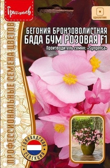 Купить бегония бада бум f1 алая, 5 шт семян по цене 41 руб. в ...