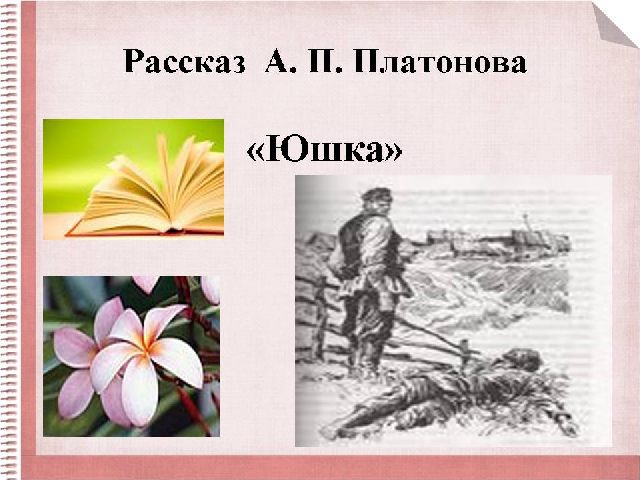 Чему учит нас сказка быль неизвестный цветок. Cочинение ...