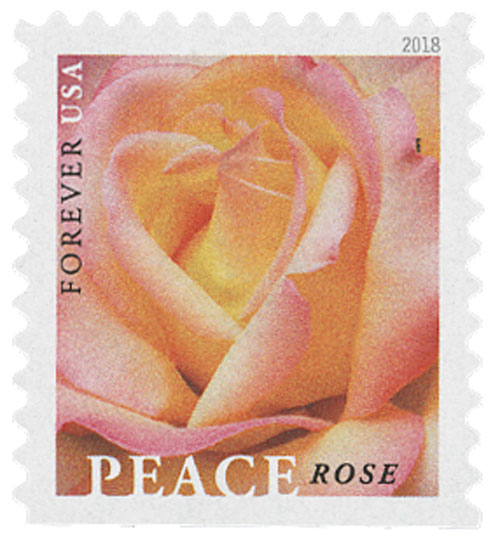 Rose DL Stamp (Small) by Sweet Poppy Stencils – Del Bello's ...