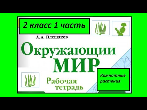 Проект по окружающему миру 1 класс Комнатные растения — Блог Милы