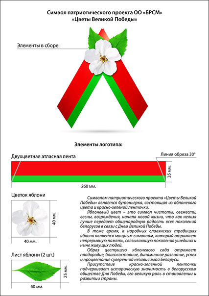 ЦВЕТЫ ВЕЛИКОЙ ПОБЕДЫ