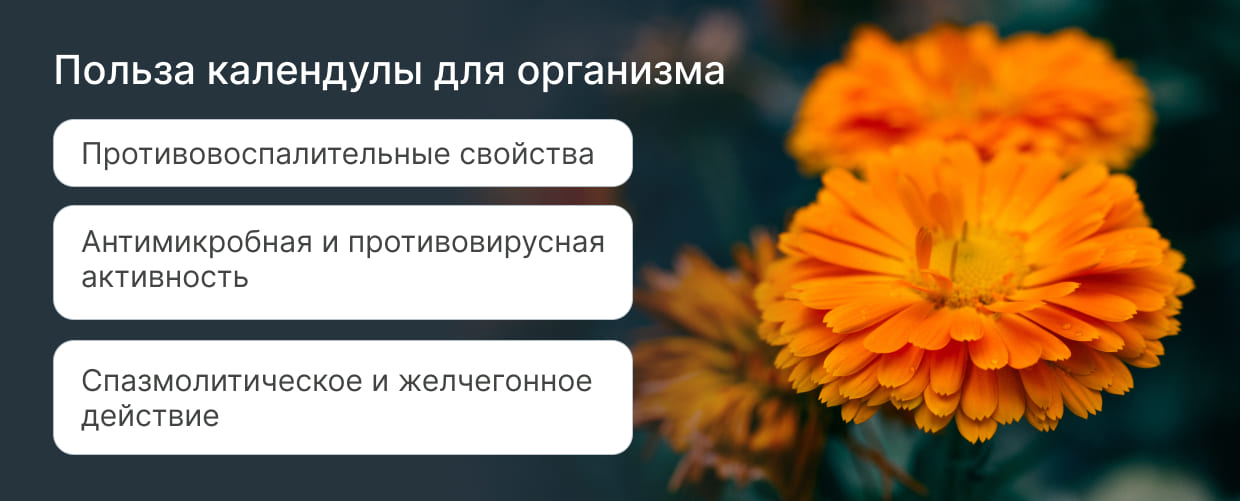 Календула Высокорослая смесь 0.2 г, Яскрава: продажа, цена в ...