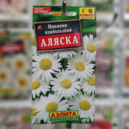 Ромашка Нивяник, купить за 7.00 грн ...