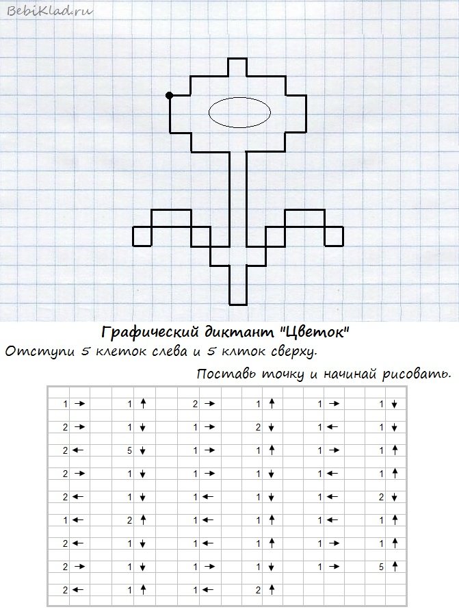 Графический диктант по клеточкам. Цветок