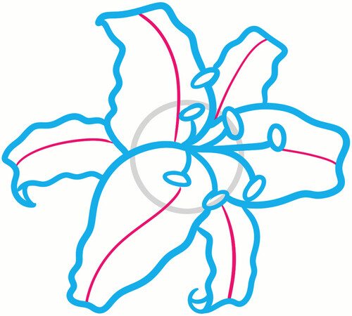 Как нарисовать лилию поэтапно 9 уроков