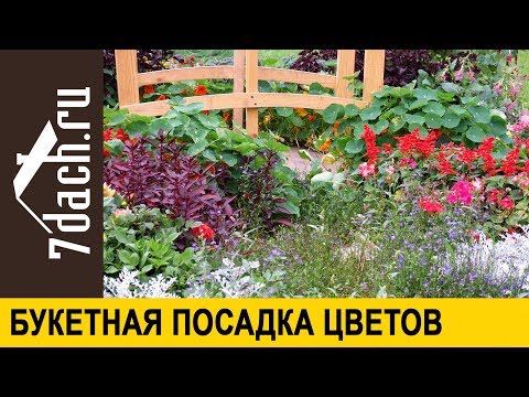 Какие цветы посадить осенью: посадка многолетников ...