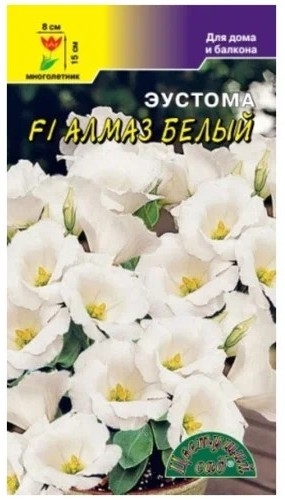 Купить Эустома белая (Украина) 70см оптом | Paeonia