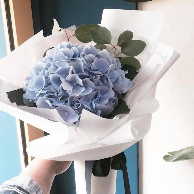 Гортензия микс/ Hydrangea 14.40 на заказ в Минске, цена и ...